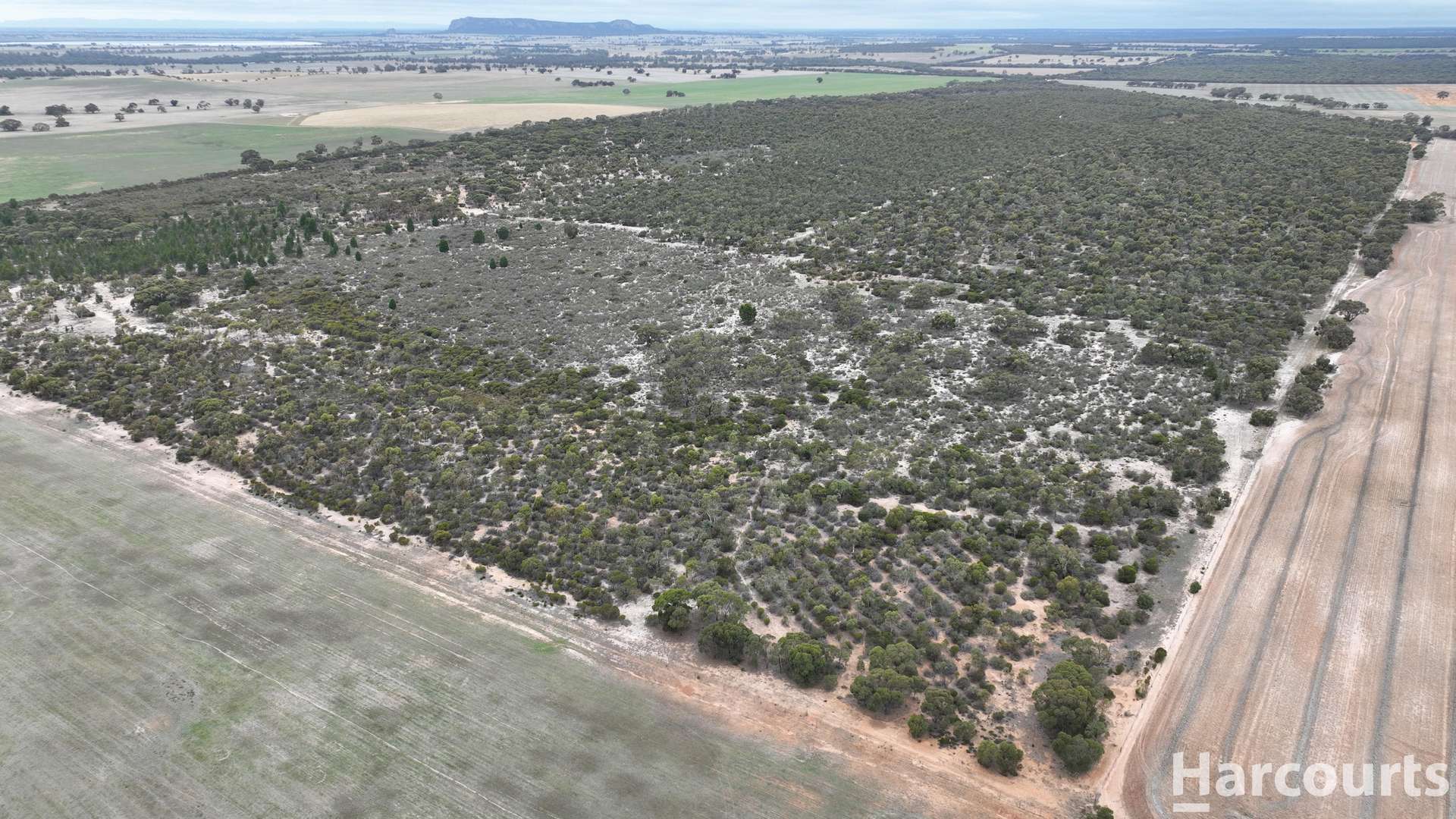 Lot 2 Mitre Road, Nurcoung For Sale by Farmbuy.com - image 15