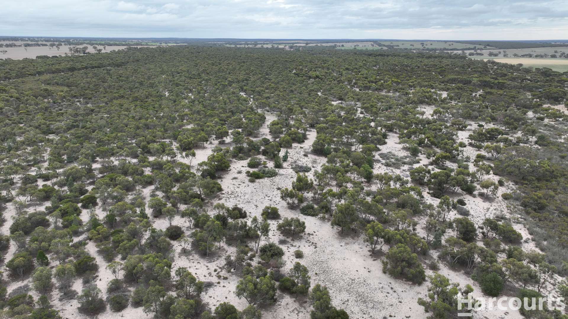 Lot 2 Mitre Road, Nurcoung For Sale by Farmbuy.com - image 30