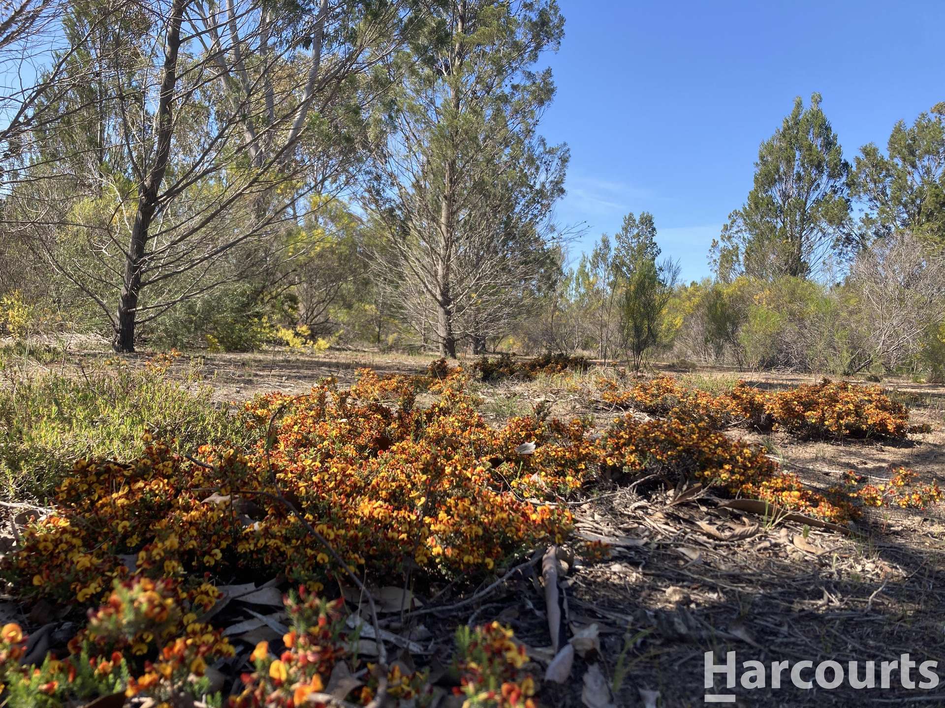 Lot 2 Mitre Road, Nurcoung For Sale by Farmbuy.com - image 11