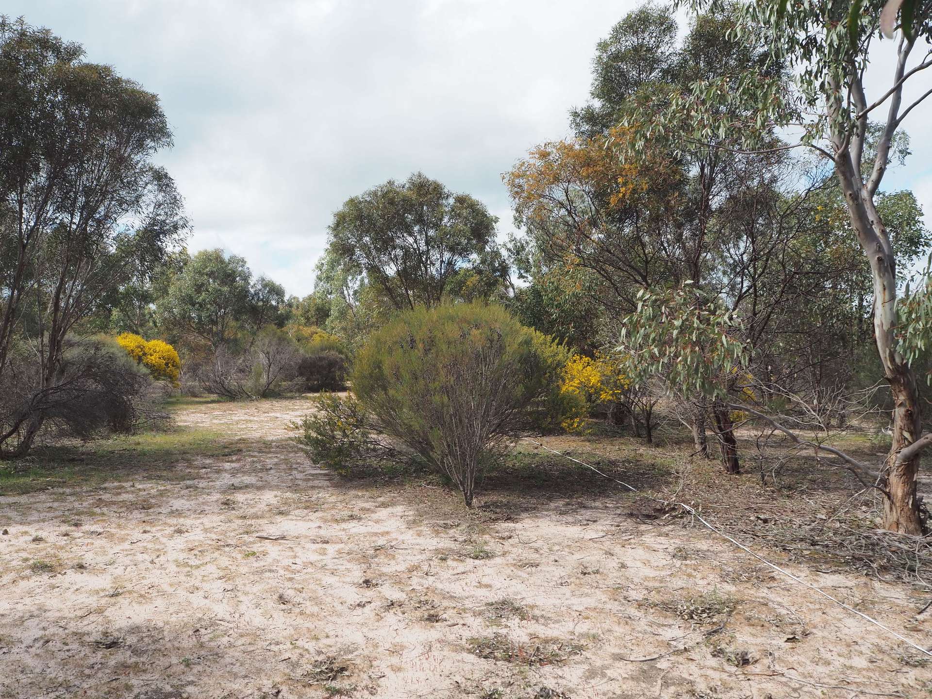 Lot 2 Mitre Road, Nurcoung For Sale by Farmbuy.com - image 2