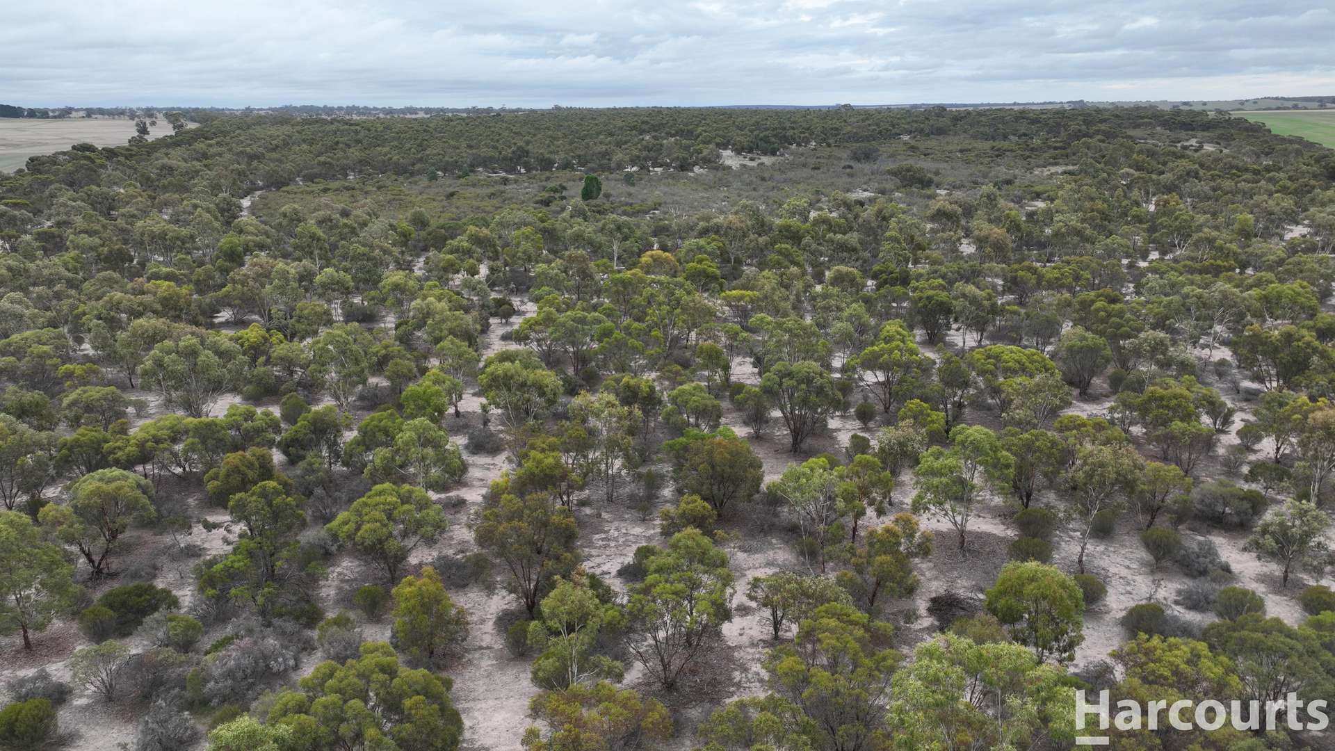 Lot 2 Mitre Road, Nurcoung For Sale by Farmbuy.com - image 26