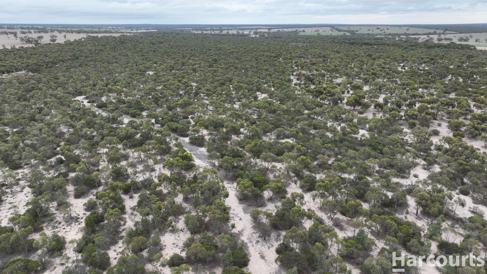 Lot 2 Mitre Road, Nurcoung For Sale by Farmbuy.com - image 32