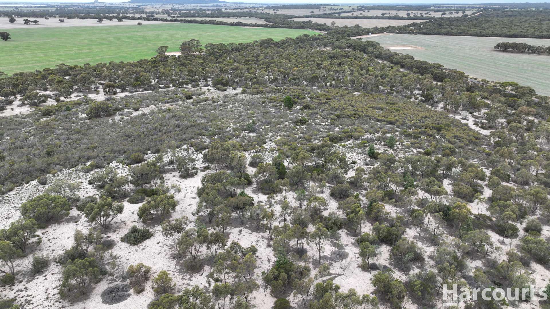 Lot 2 Mitre Road, Nurcoung For Sale by Farmbuy.com - image 22