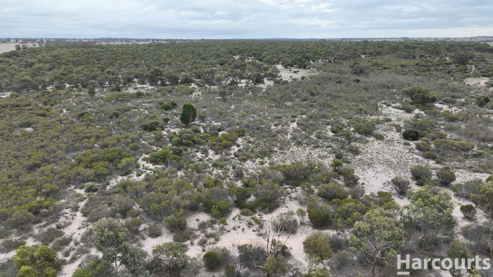 Lot 2 Mitre Road, Nurcoung For Sale by Farmbuy.com - image 27