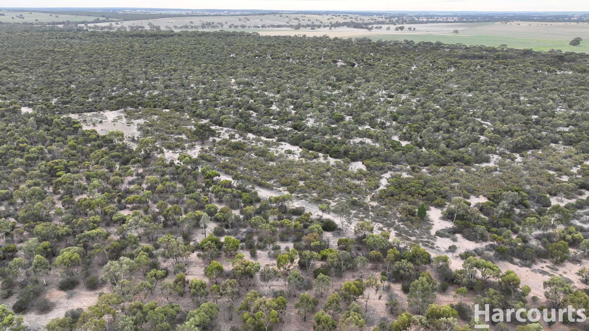 Lot 2 Mitre Road, Nurcoung For Sale by Farmbuy.com - image 20