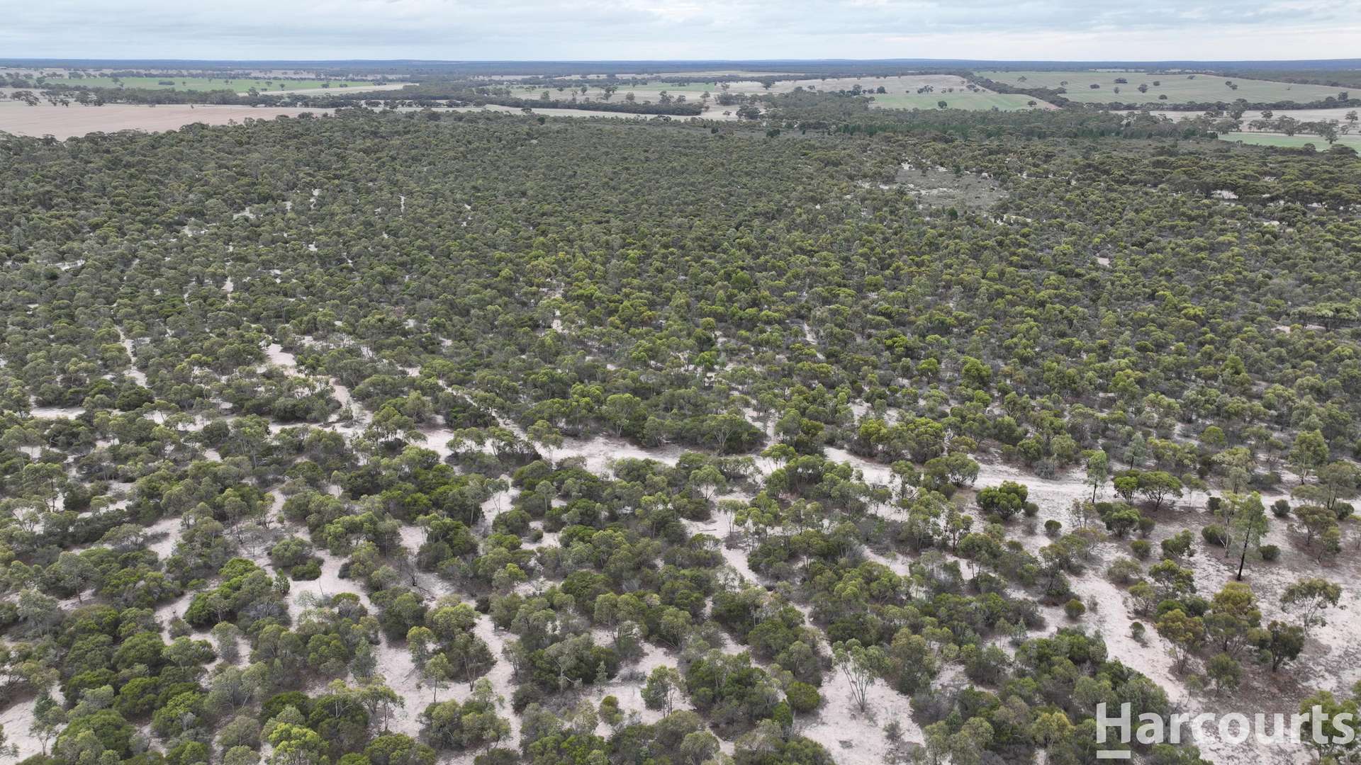 Lot 2 Mitre Road, Nurcoung For Sale by Farmbuy.com - image 33