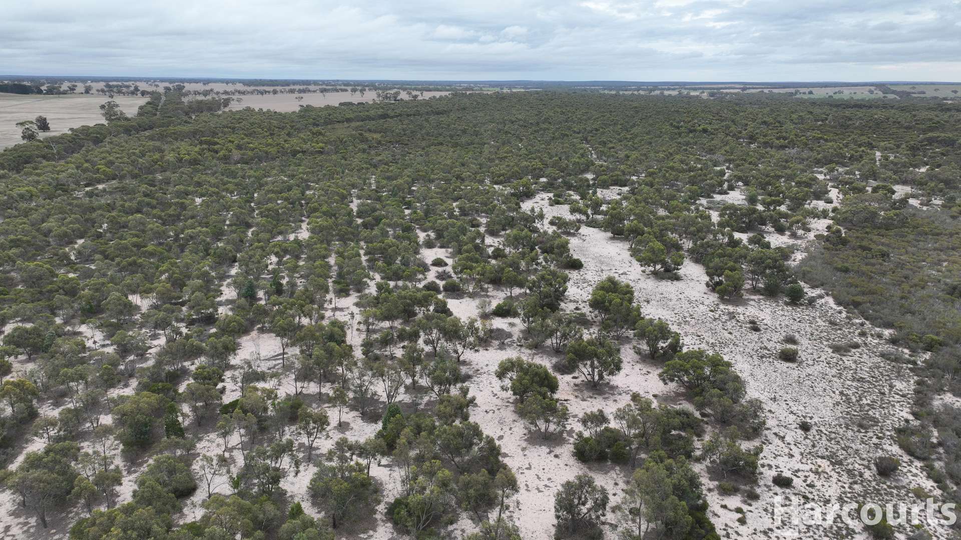 Lot 2 Mitre Road, Nurcoung For Sale by Farmbuy.com - image 29