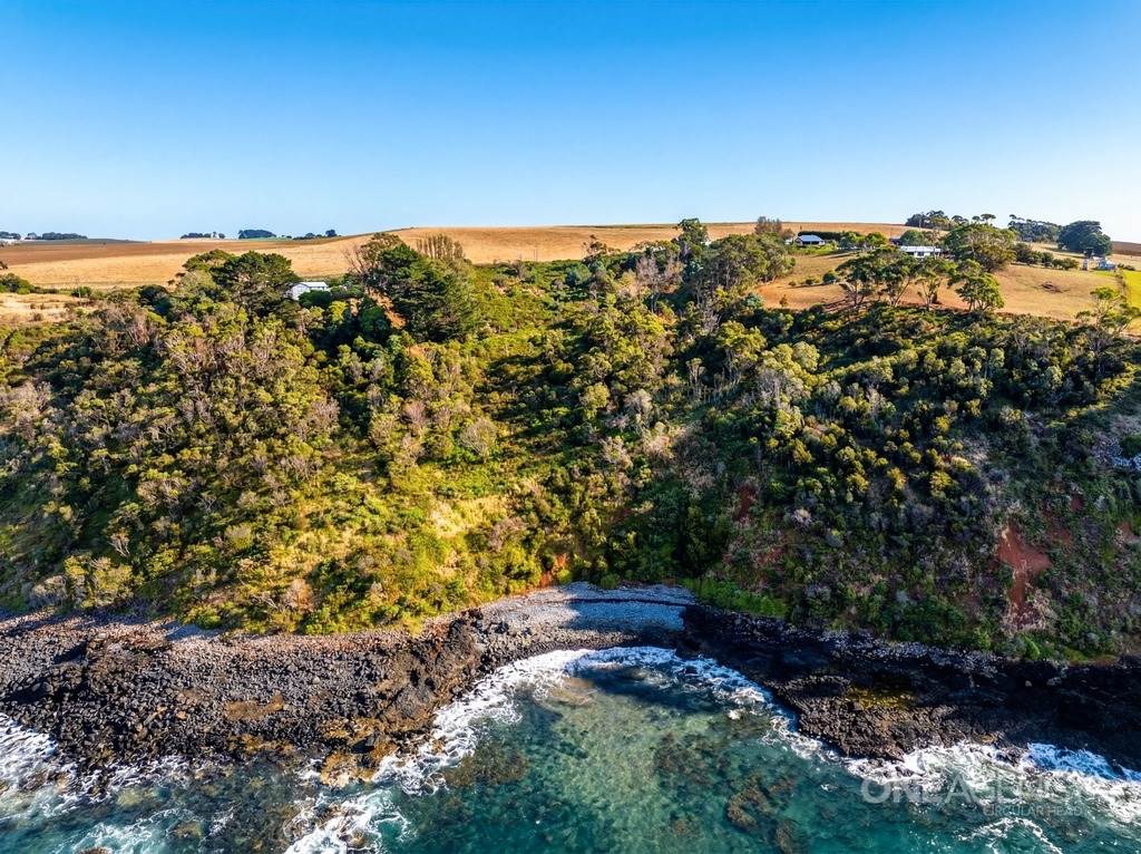 472 Tollymore Road, Table Cape For Sale by Farmbuy.com - image 8