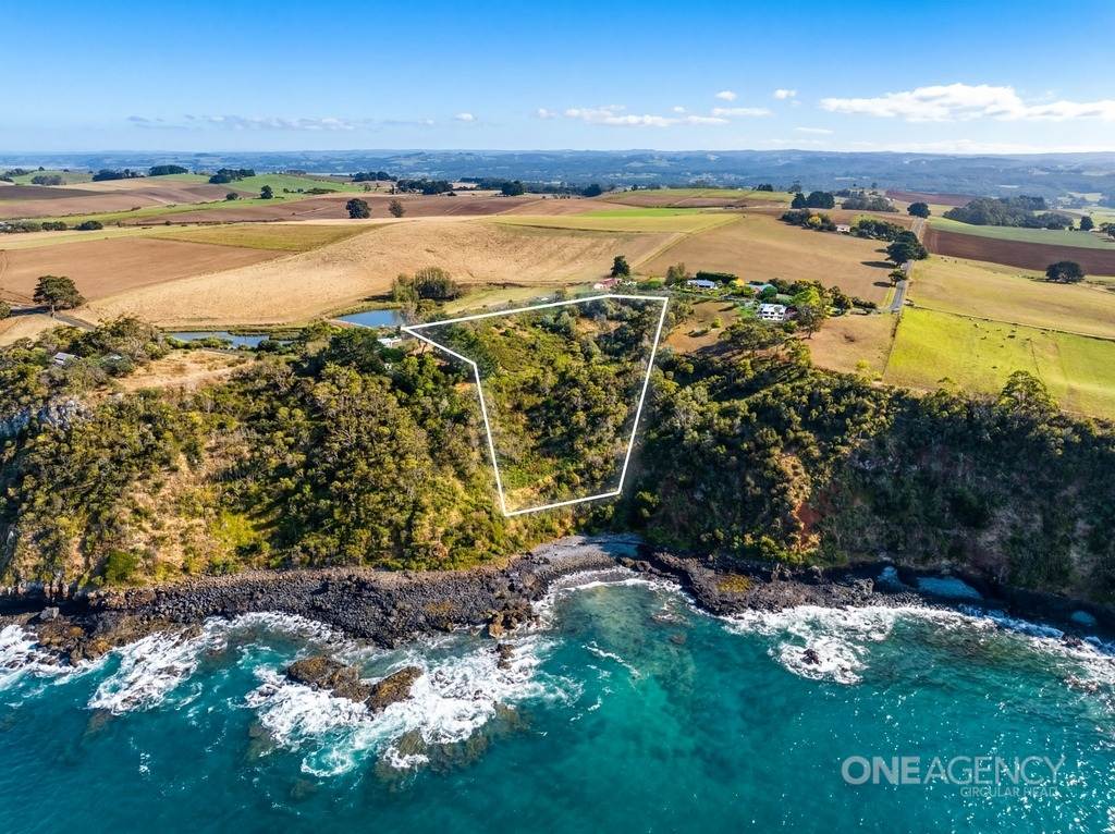 472 Tollymore Road, Table Cape For Sale by Farmbuy.com - image 2