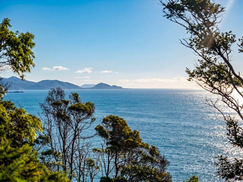 472 Tollymore Road, Table Cape For Sale by Farmbuy.com - image 9