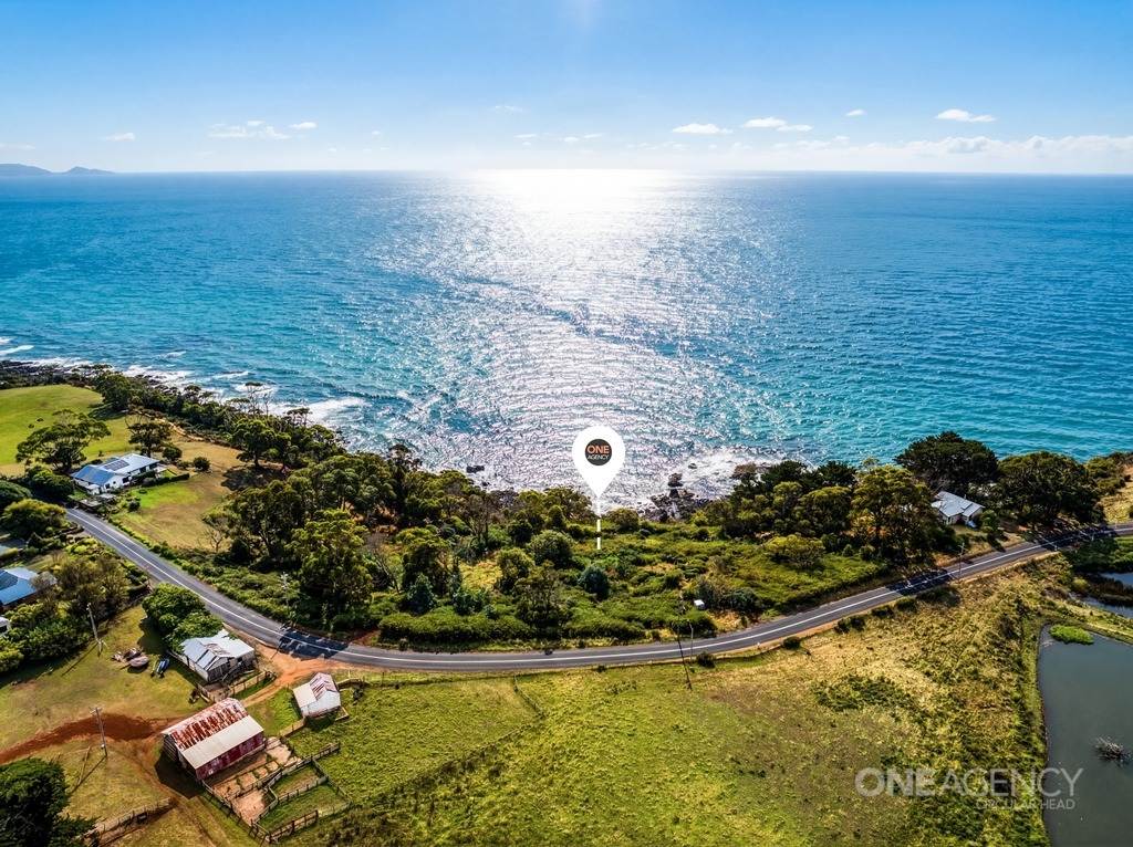 472 Tollymore Road, Table Cape For Sale by Farmbuy.com - image 5