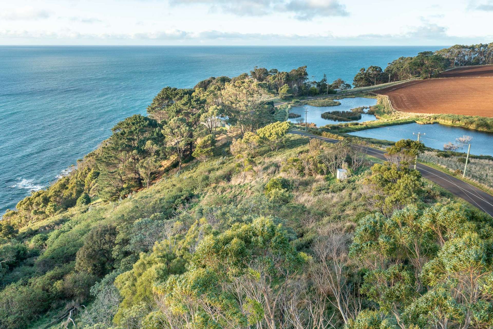 472 Tollymore Road, Table Cape For Sale by Farmbuy.com - image 21