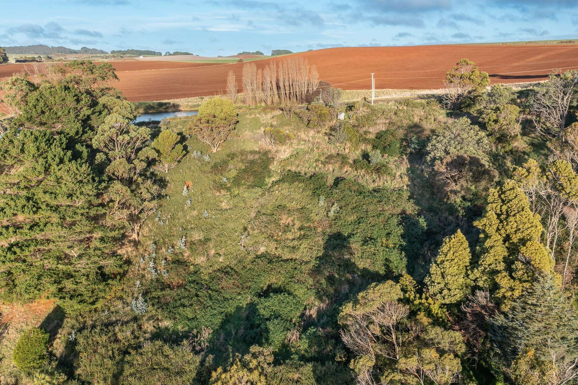 472 Tollymore Road, Table Cape For Sale by Farmbuy.com - image 20