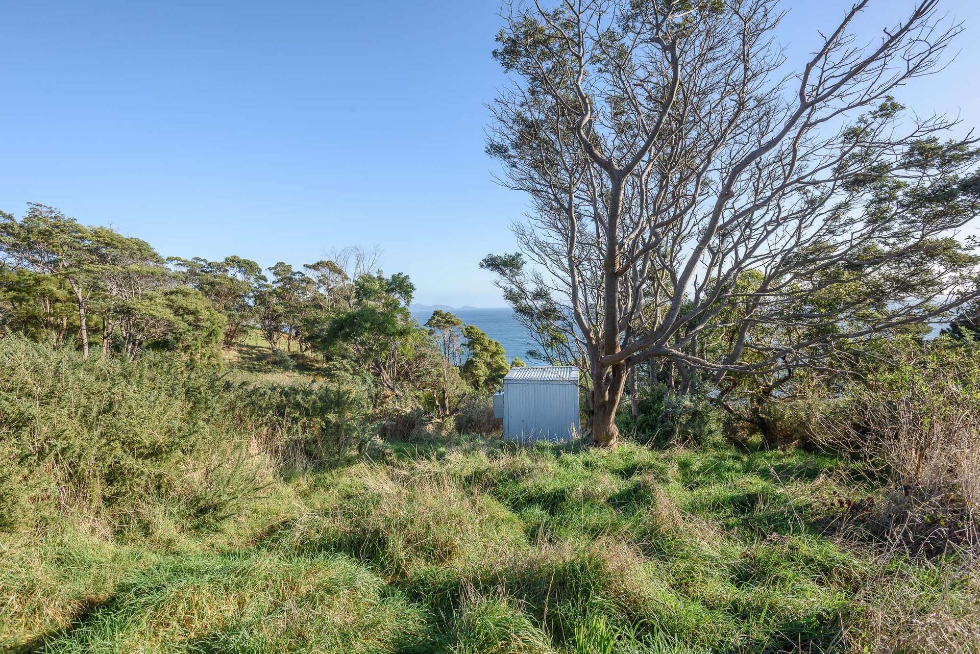 472 Tollymore Road, Table Cape For Sale by Farmbuy.com - image 24