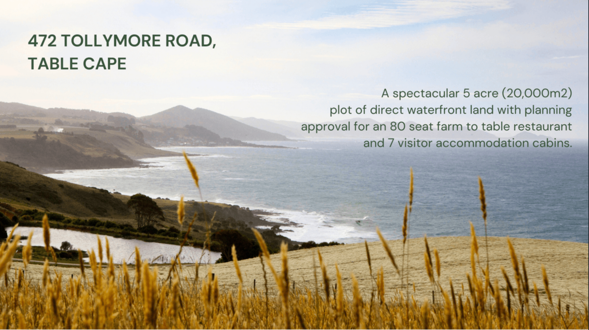 472 Tollymore Road, Table Cape For Sale by Farmbuy.com - image 3