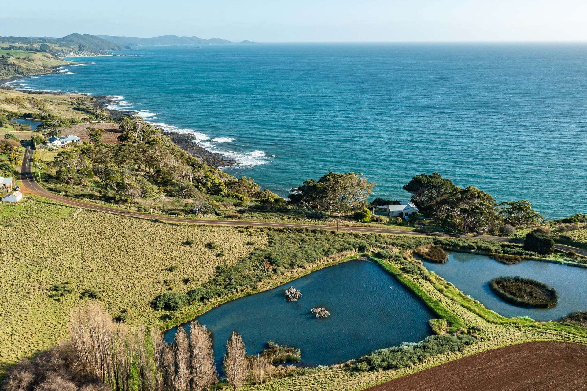 472 Tollymore Road, Table Cape For Sale by Farmbuy.com - image 11