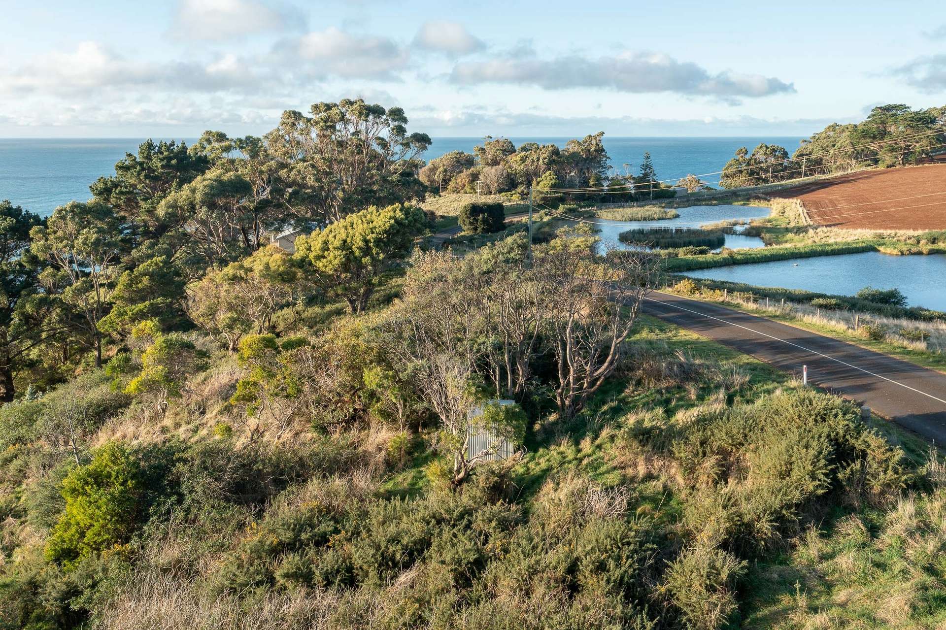 472 Tollymore Road, Table Cape For Sale by Farmbuy.com - image 23