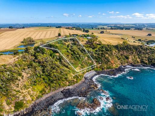 472 Tollymore Road, Table Cape TAS 7325