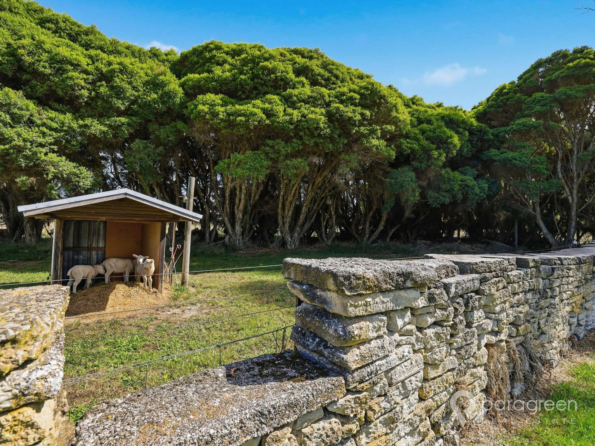230 Lower Franklin Road, Foster For Sale by Farmbuy.com - image 19