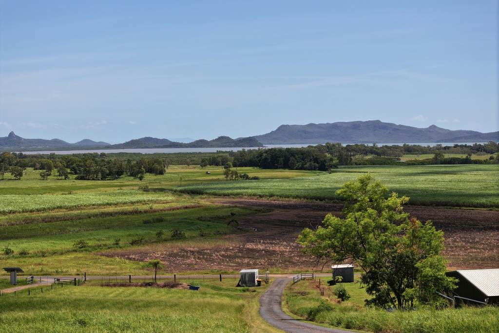 227 Olletts Road, Habana QLD 4740
