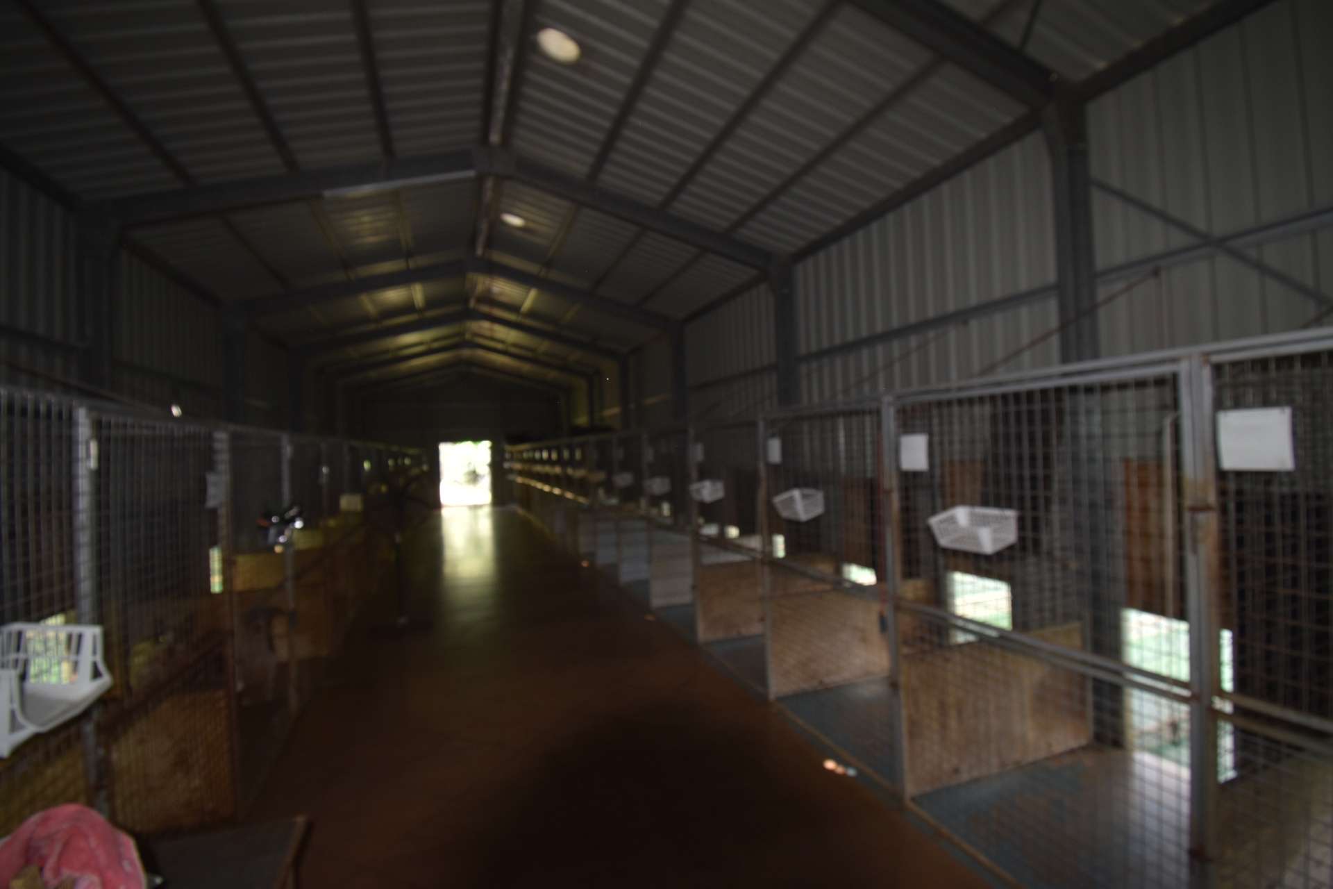 227 Olletts Road, Habana For Sale by Farmbuy.com - image 26