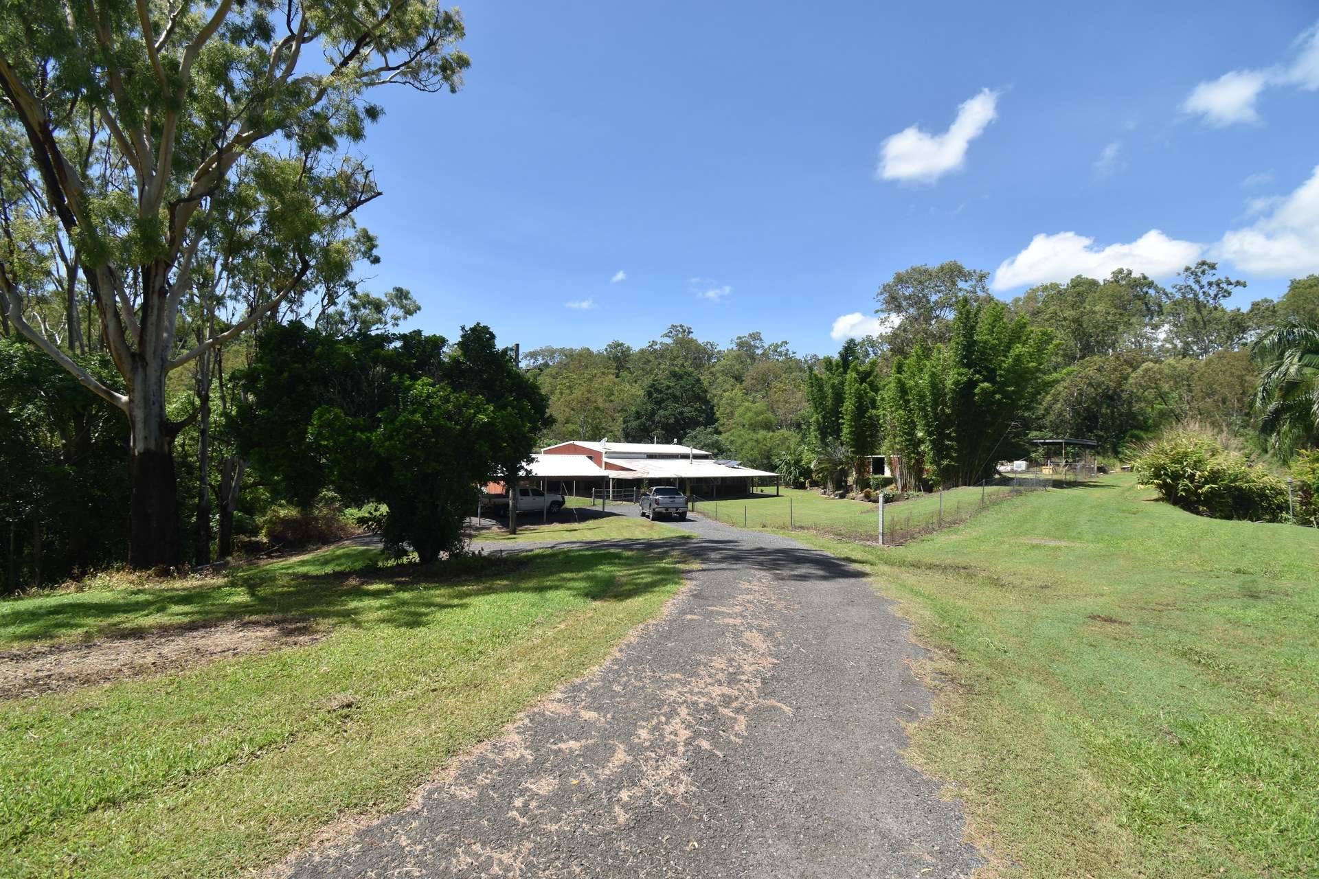 227 Olletts Road, Habana For Sale by Farmbuy.com - image 24
