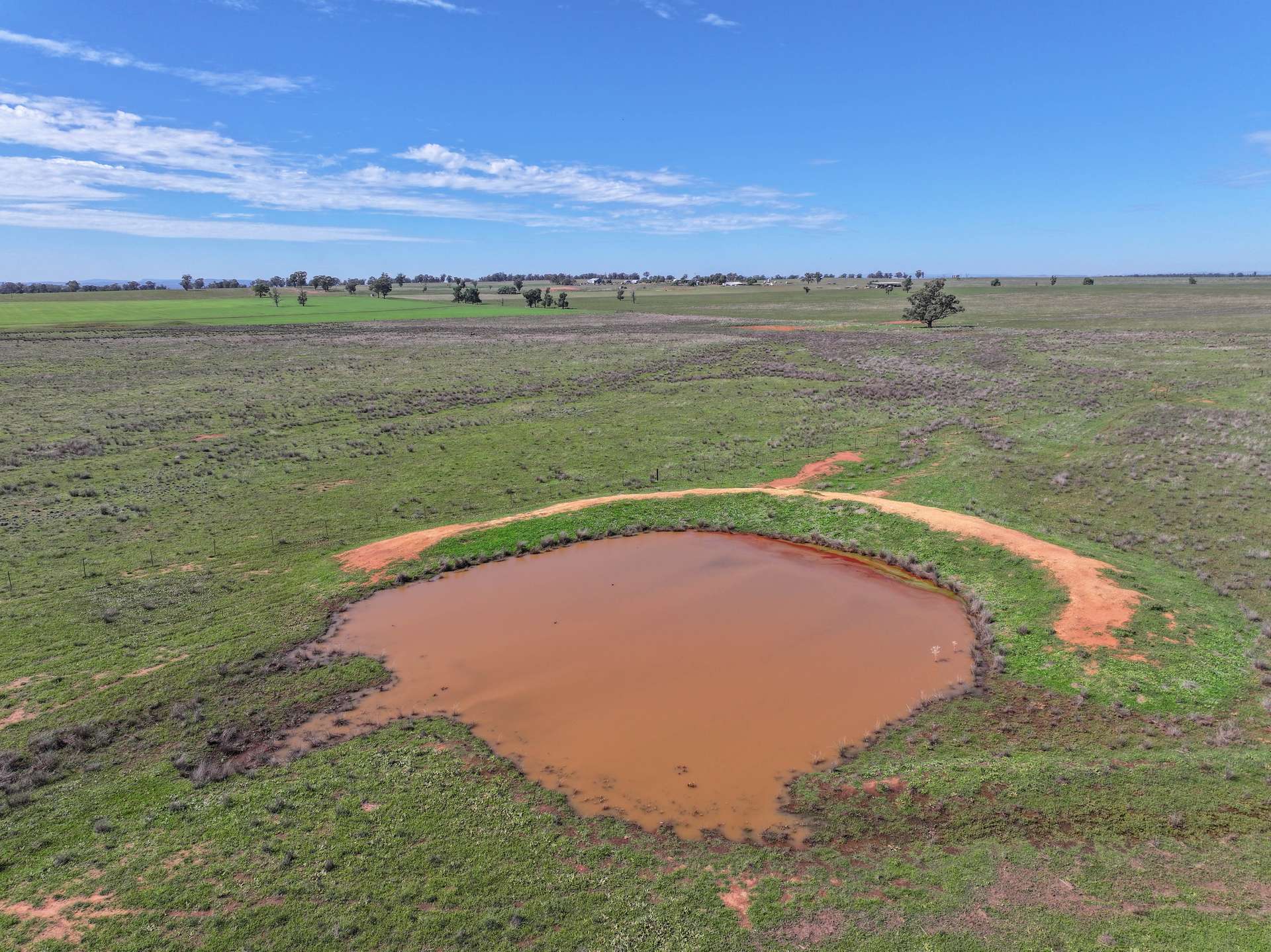 63 Gunning Ridge Road, Forbes For Sale by Farmbuy.com - image 8