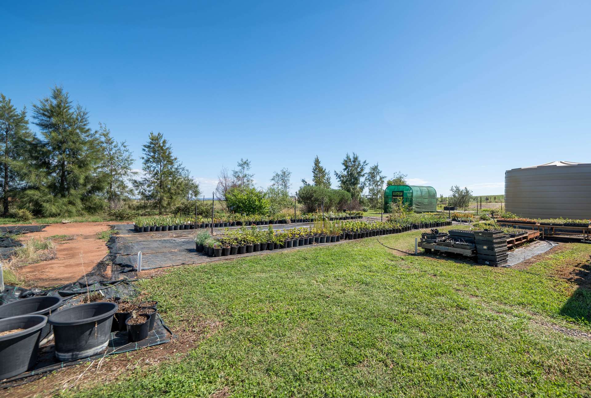 63 Gunning Ridge Road, Forbes For Sale by Farmbuy.com - image 31