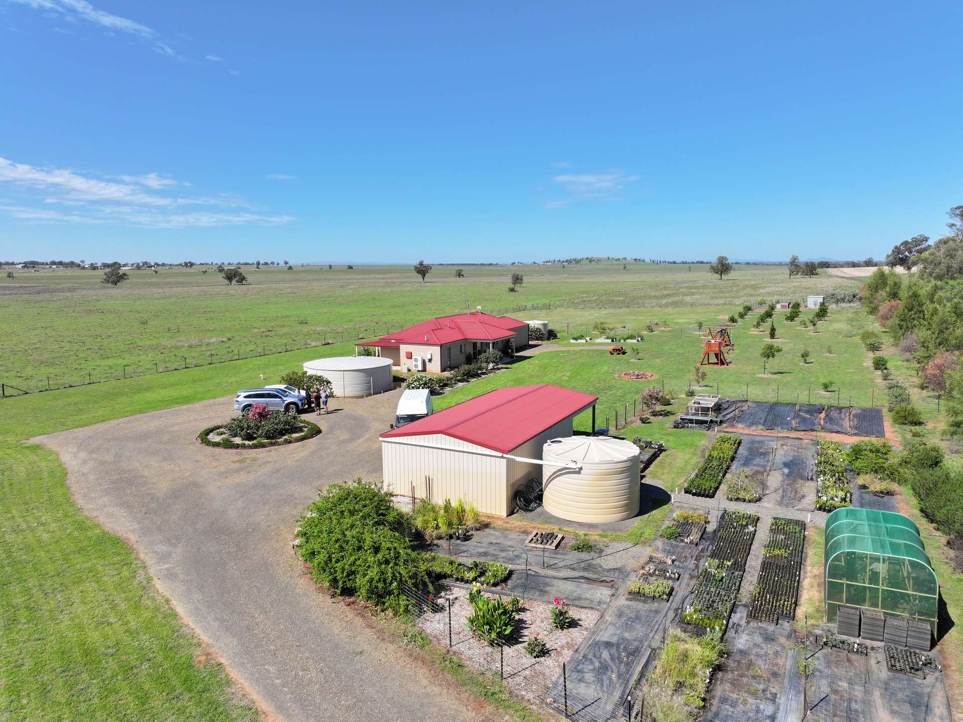 63 Gunning Ridge Road, Forbes For Sale by Farmbuy.com - image 6