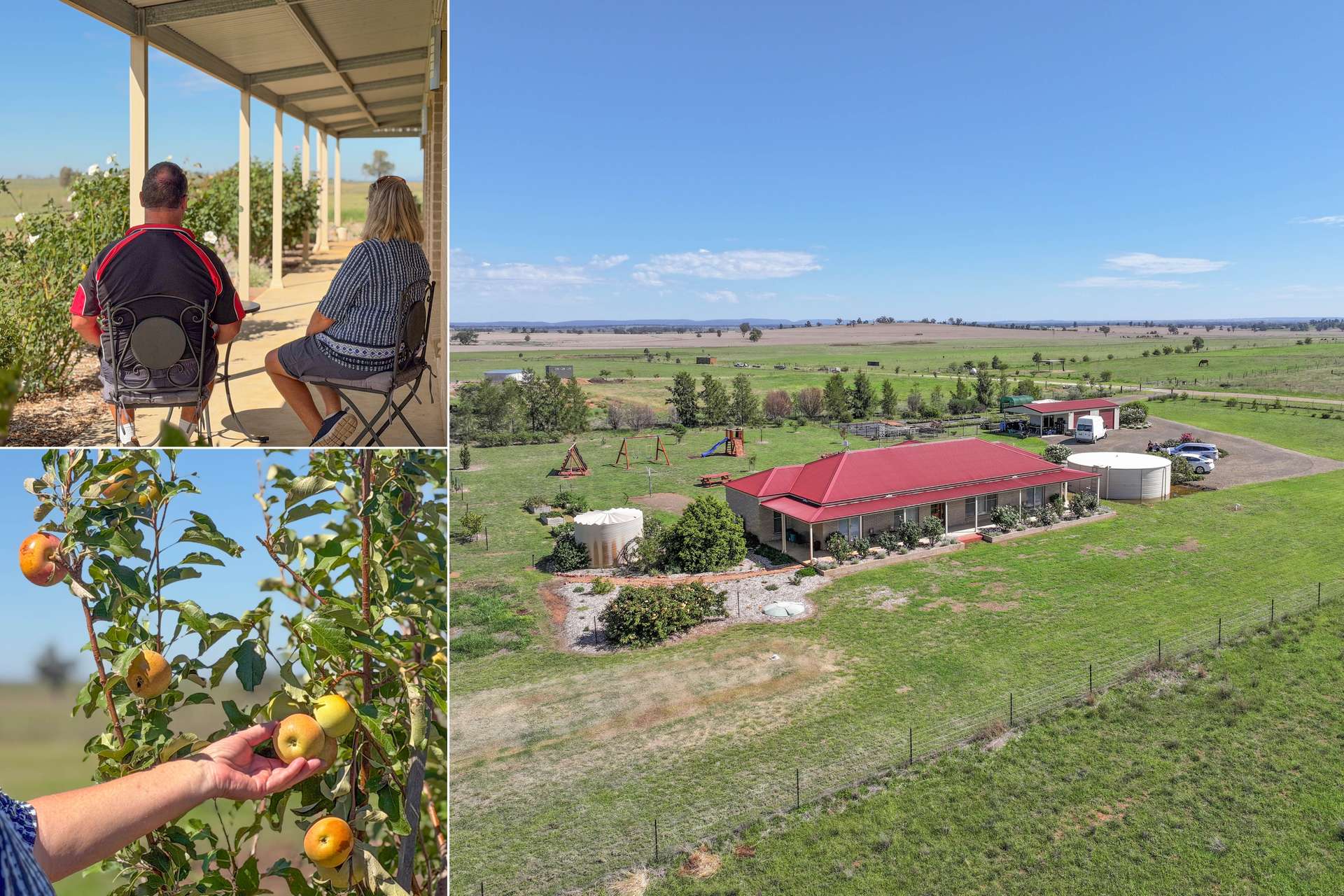 63 Gunning Ridge Road, Forbes For Sale by Farmbuy.com - image 1