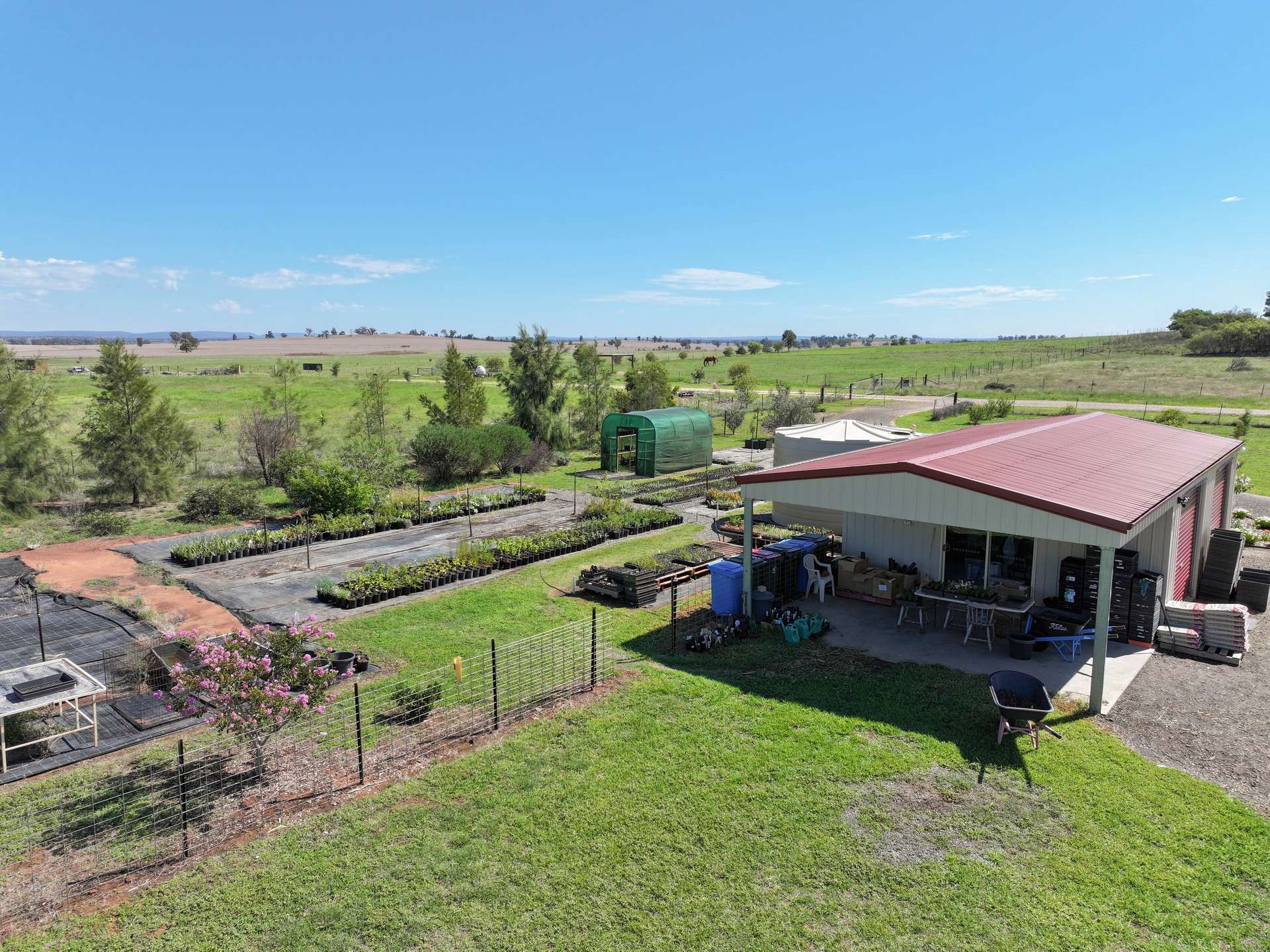 63 Gunning Ridge Road, Forbes For Sale by Farmbuy.com - image 7