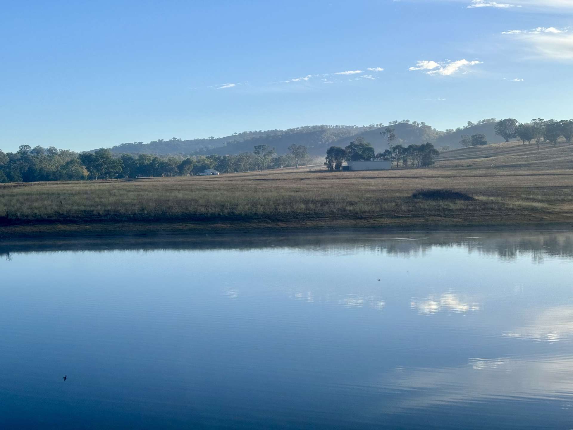"Brentwood Park" 80 Sandy Creek Road, Blandford For Sale by Farmbuy.com - image 14
