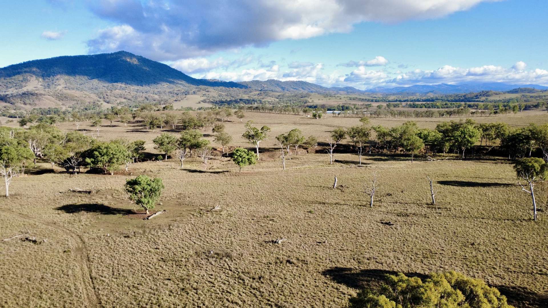 "Waverly Paddock" Waverley Road Waverly (Via), Scone Auction by Farmbuy.com - image 11