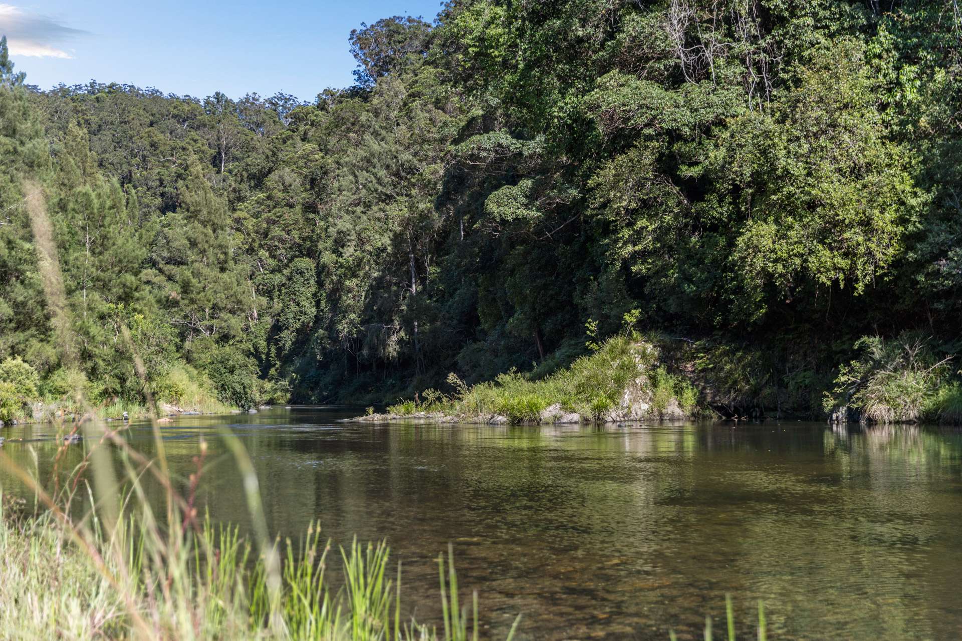 1476 Darkwood Road, Bellingen For Sale by Farmbuy.com - image 9