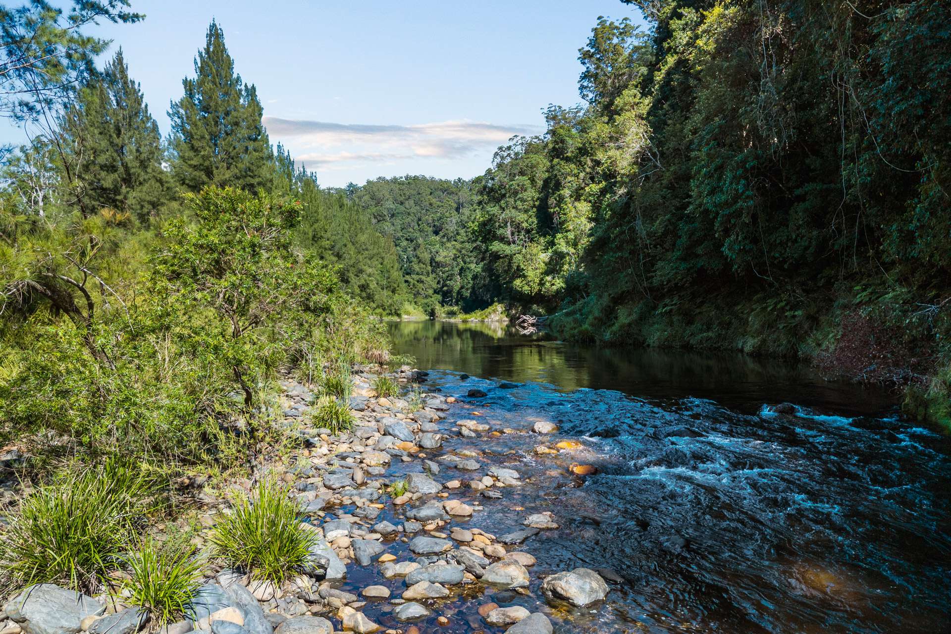1476 Darkwood Road, Bellingen For Sale by Farmbuy.com - image 22