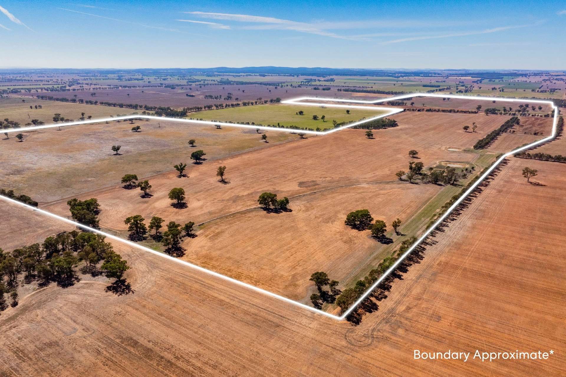 Combaning Road, Temora For Sale by Farmbuy.com - image 5