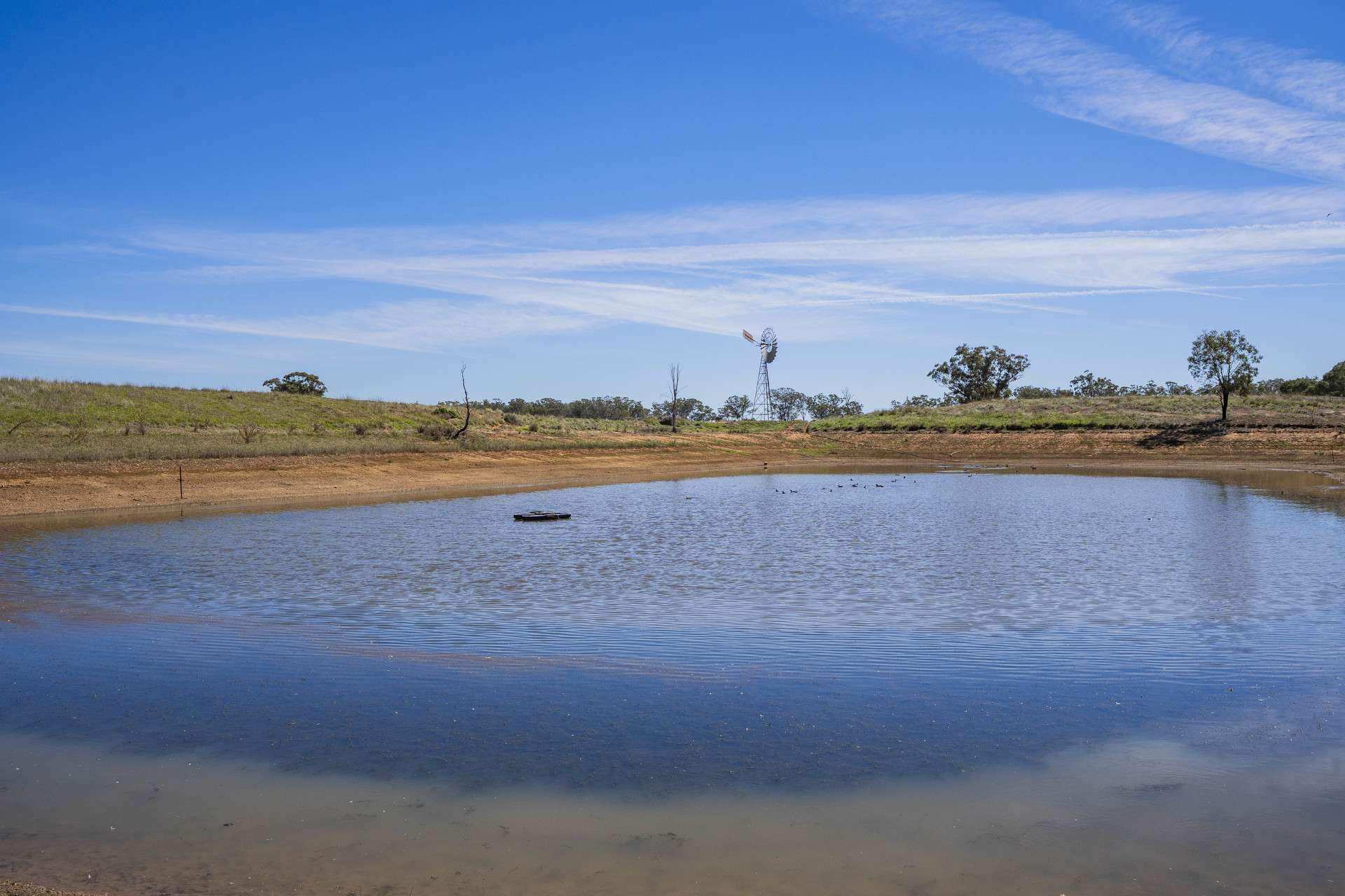 Combaning Road, Temora For Sale by Farmbuy.com - image 11
