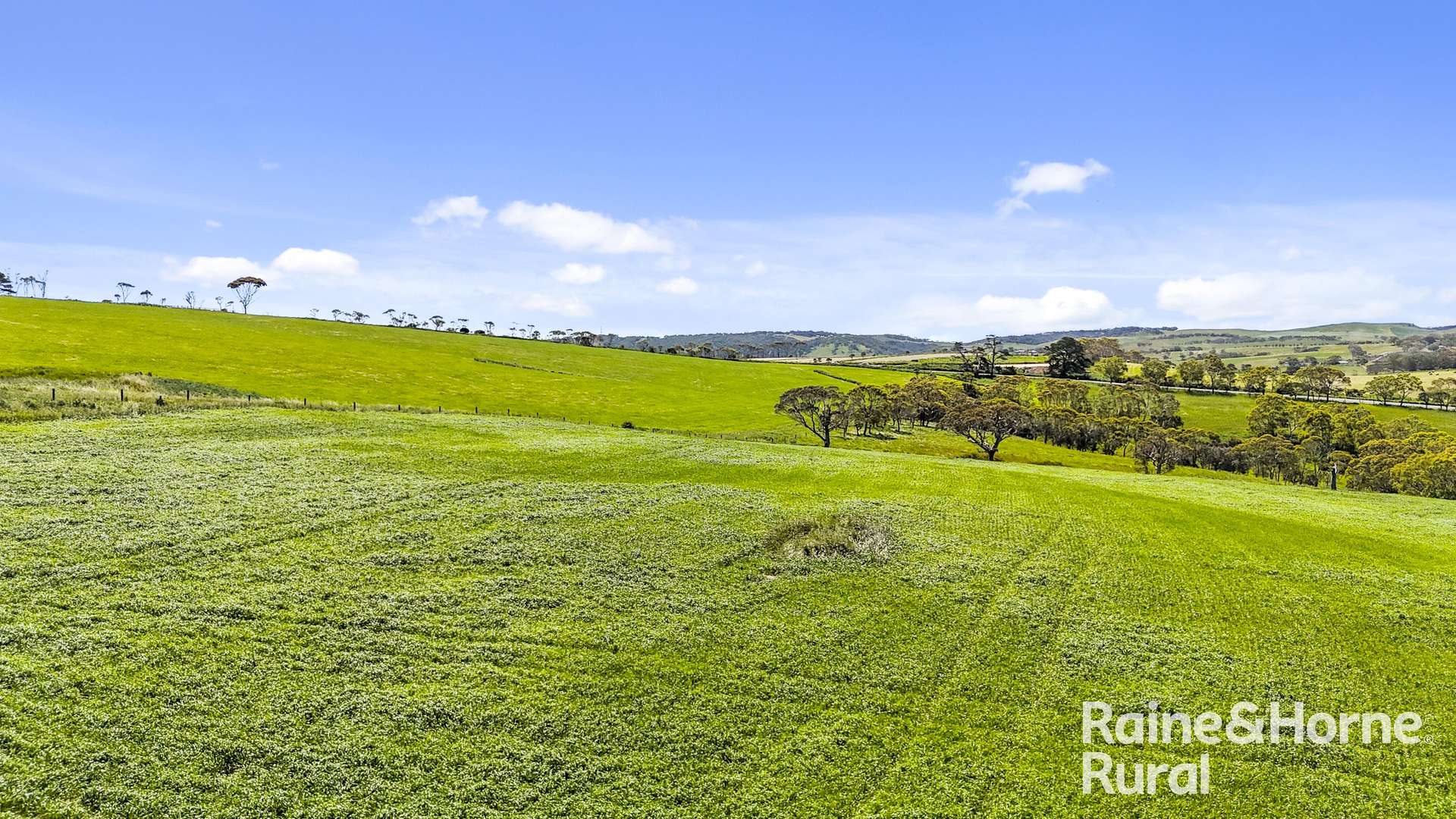 25 Nosworthy Road, Inman Valley For Sale by Farmbuy.com - image 7