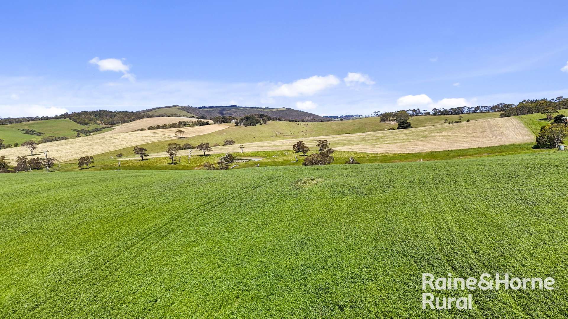 25 Nosworthy Road, Inman Valley For Sale by Farmbuy.com - image 15