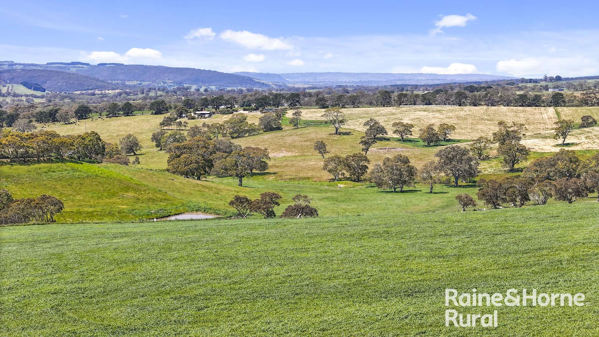 25 Nosworthy Road, Inman Valley For Sale by Farmbuy.com - image 14
