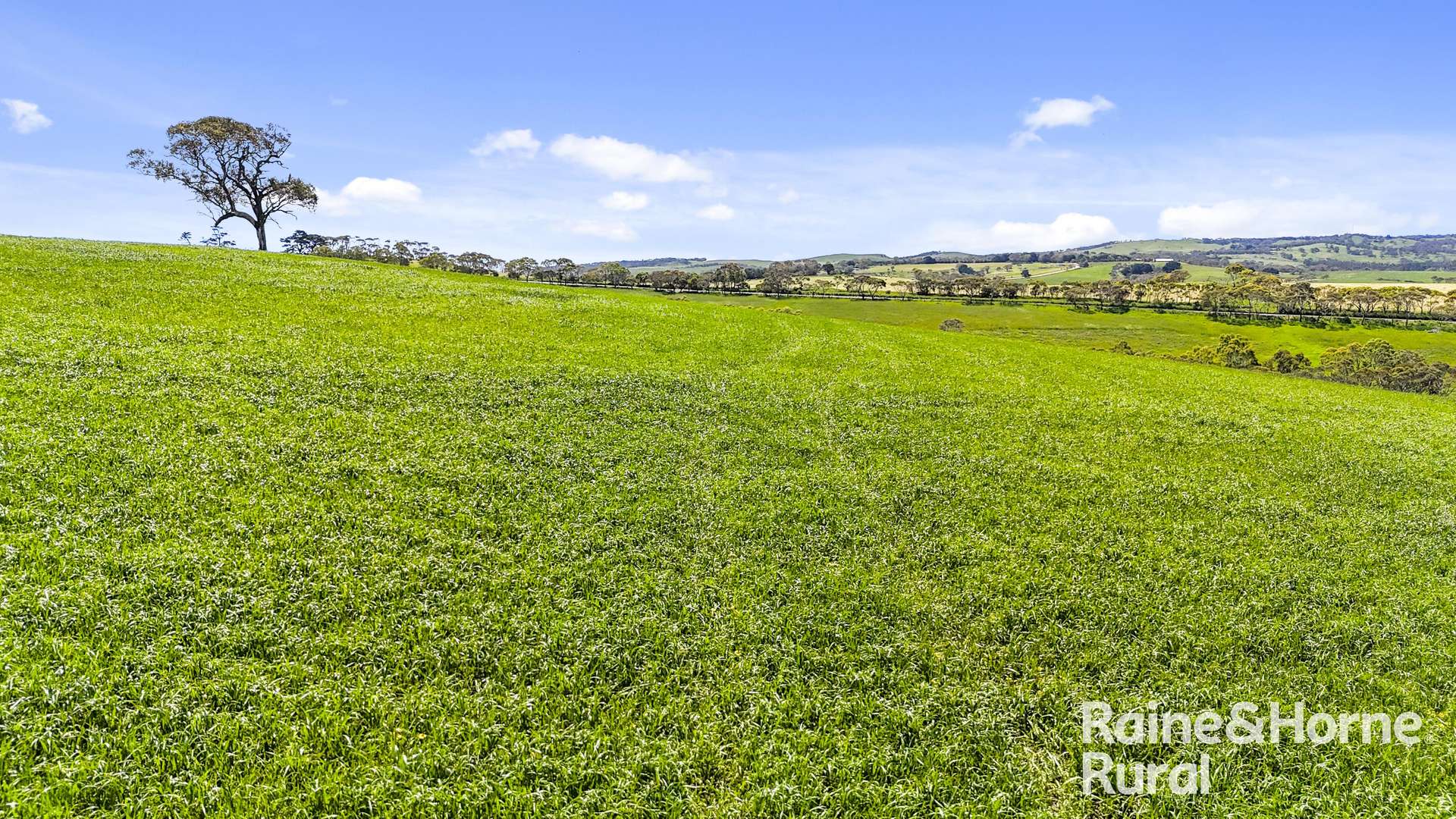25 Nosworthy Road, Inman Valley For Sale by Farmbuy.com - image 17