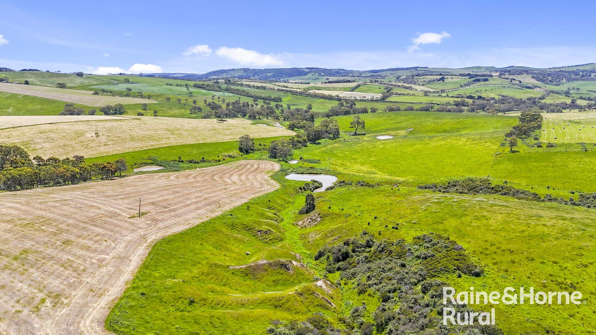 25 Nosworthy Road, Inman Valley For Sale by Farmbuy.com - image 5