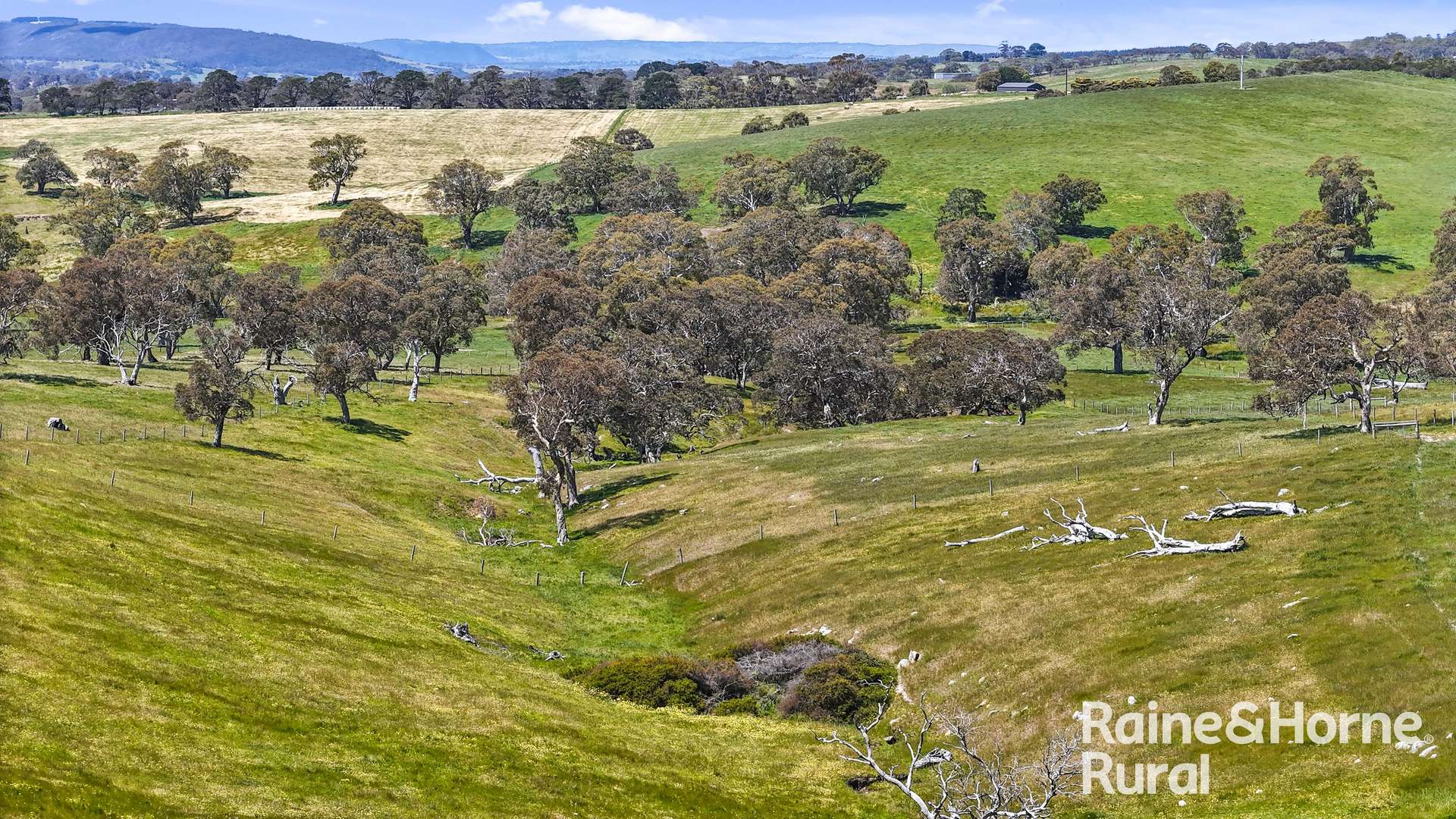 25 Nosworthy Road, Inman Valley For Sale by Farmbuy.com - image 26