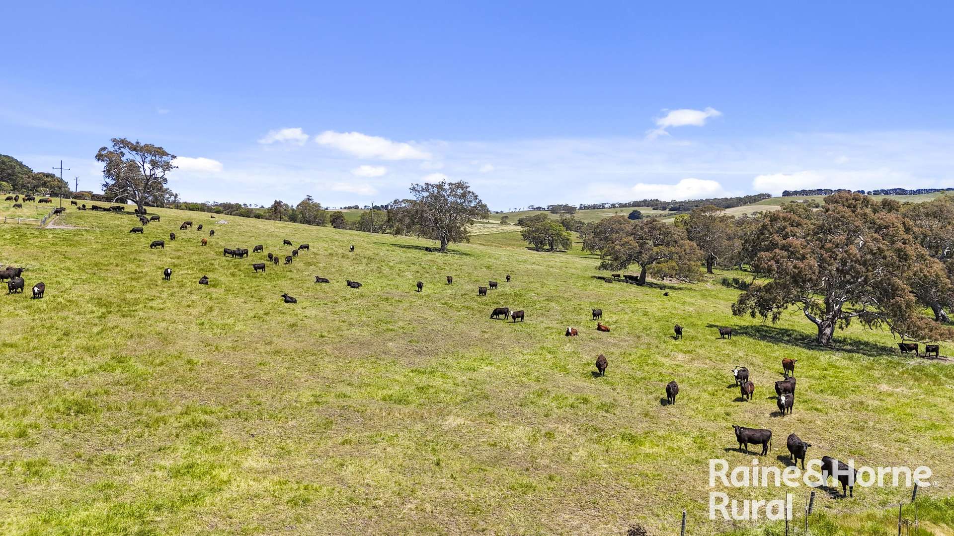 25 Nosworthy Road, Inman Valley For Sale by Farmbuy.com - image 19