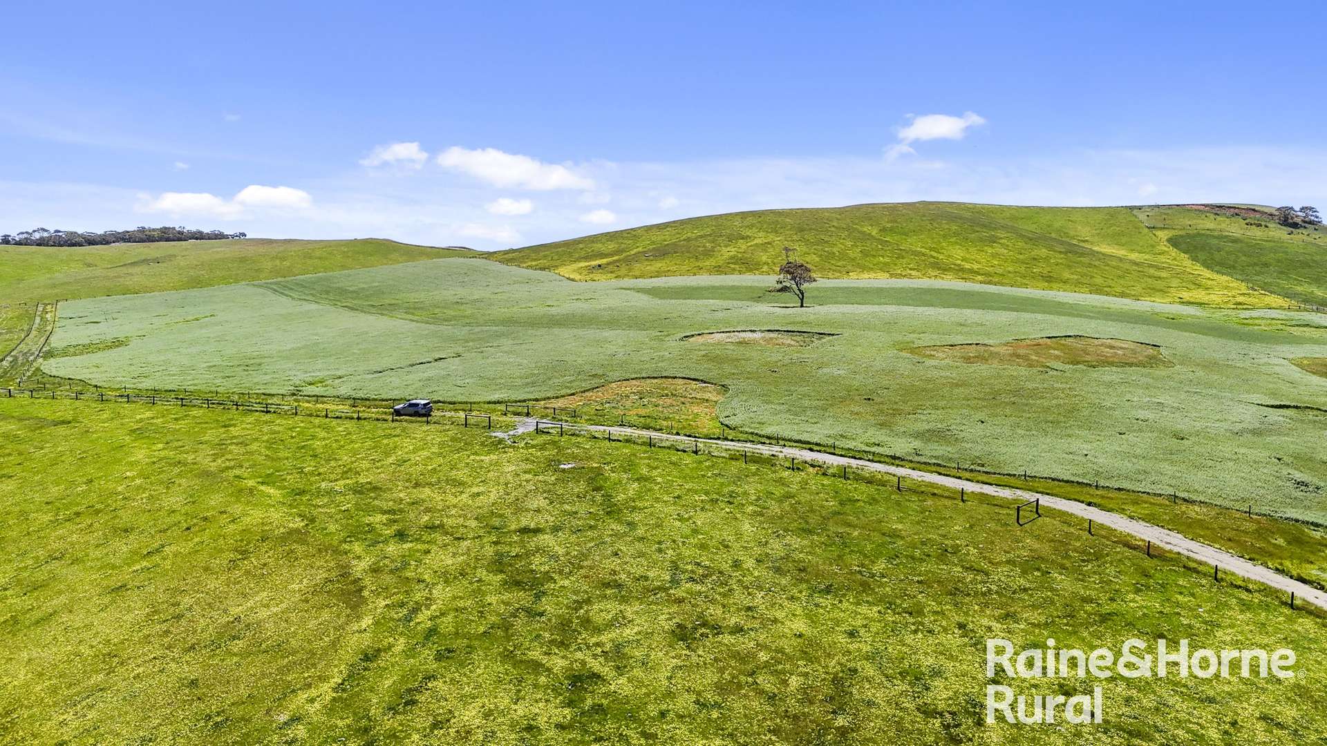 433 James Track, Inman Valley For Sale by Farmbuy.com - image 7
