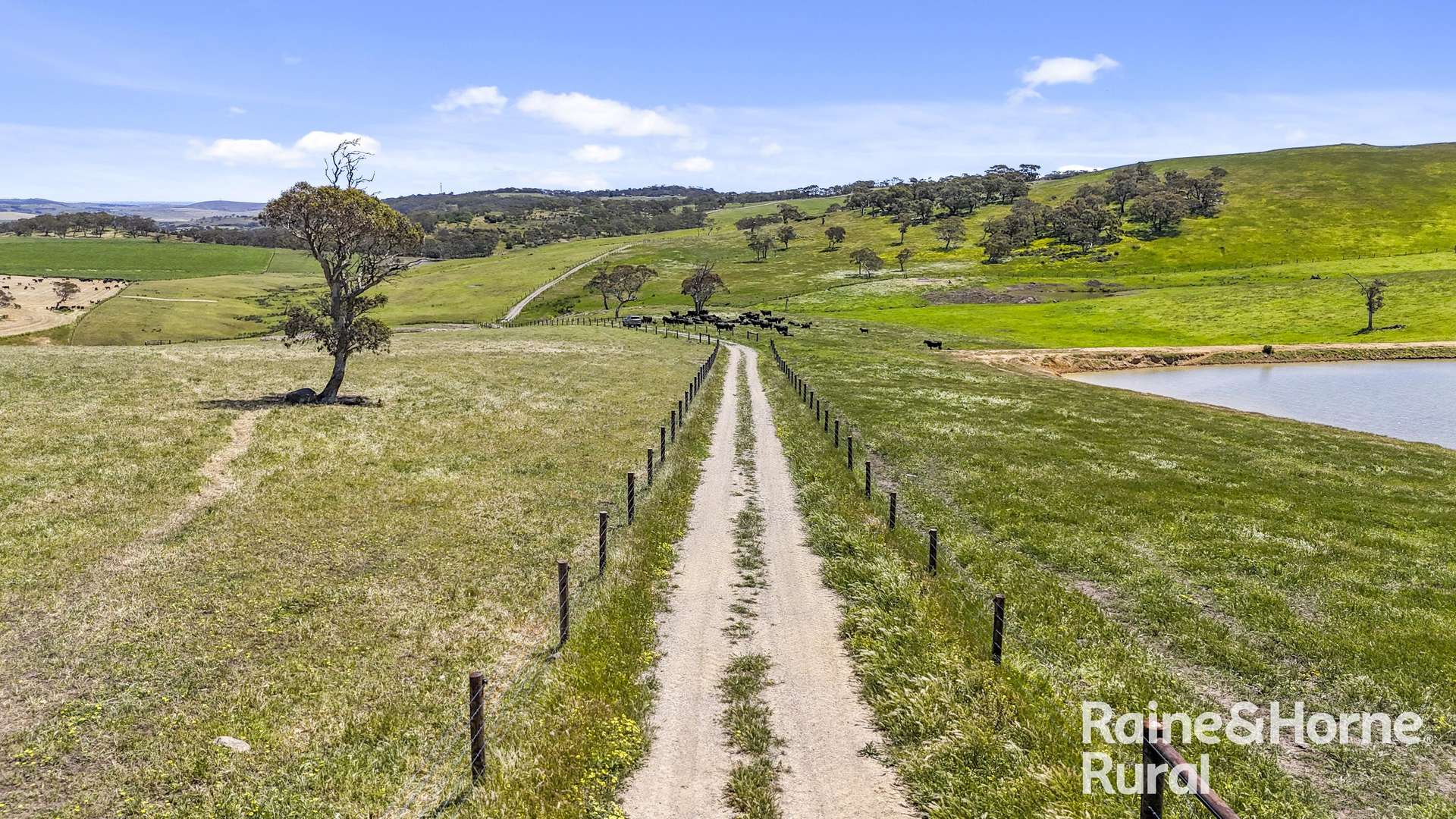 433 James Track, Inman Valley For Sale by Farmbuy.com - image 18