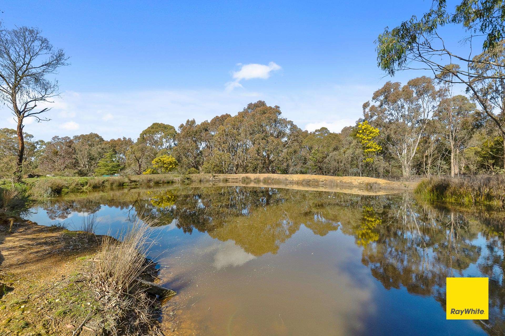 99 Harriott Road, Bywong For Sale by Farmbuy.com - image 27