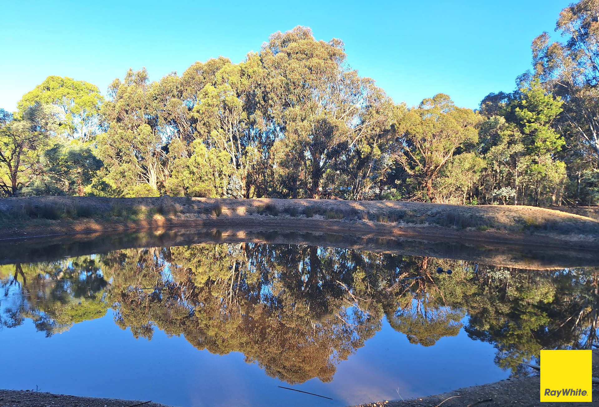 99 Harriott Road, Bywong For Sale by Farmbuy.com - image 24