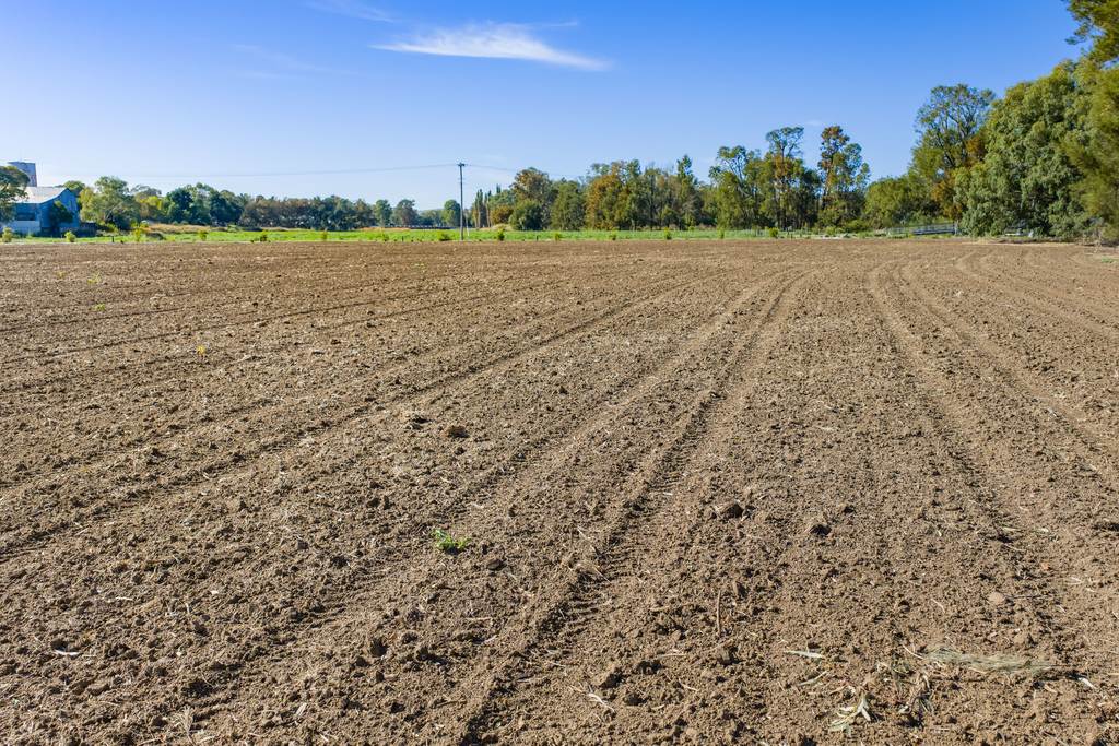 Lot 100 Gaskill Street, Canowindra NSW 2804