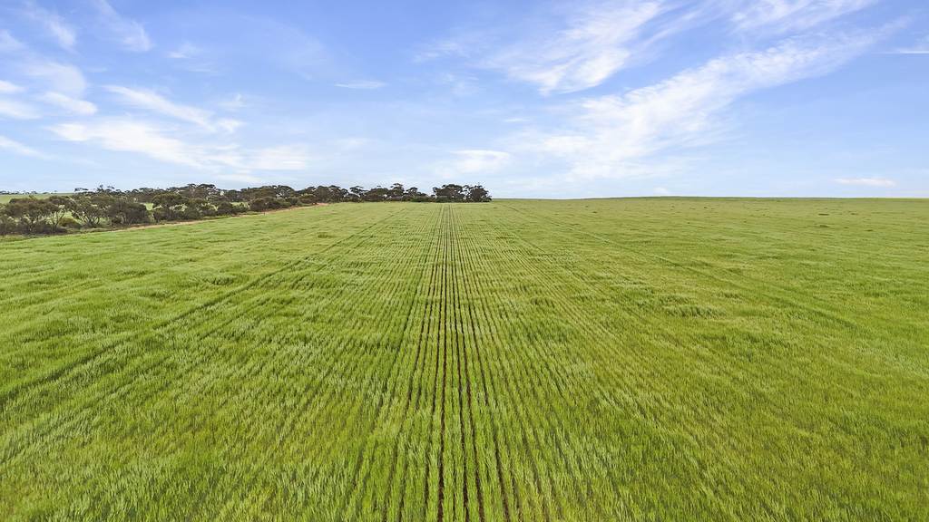 0 Stirlings, Loxton SA 5333